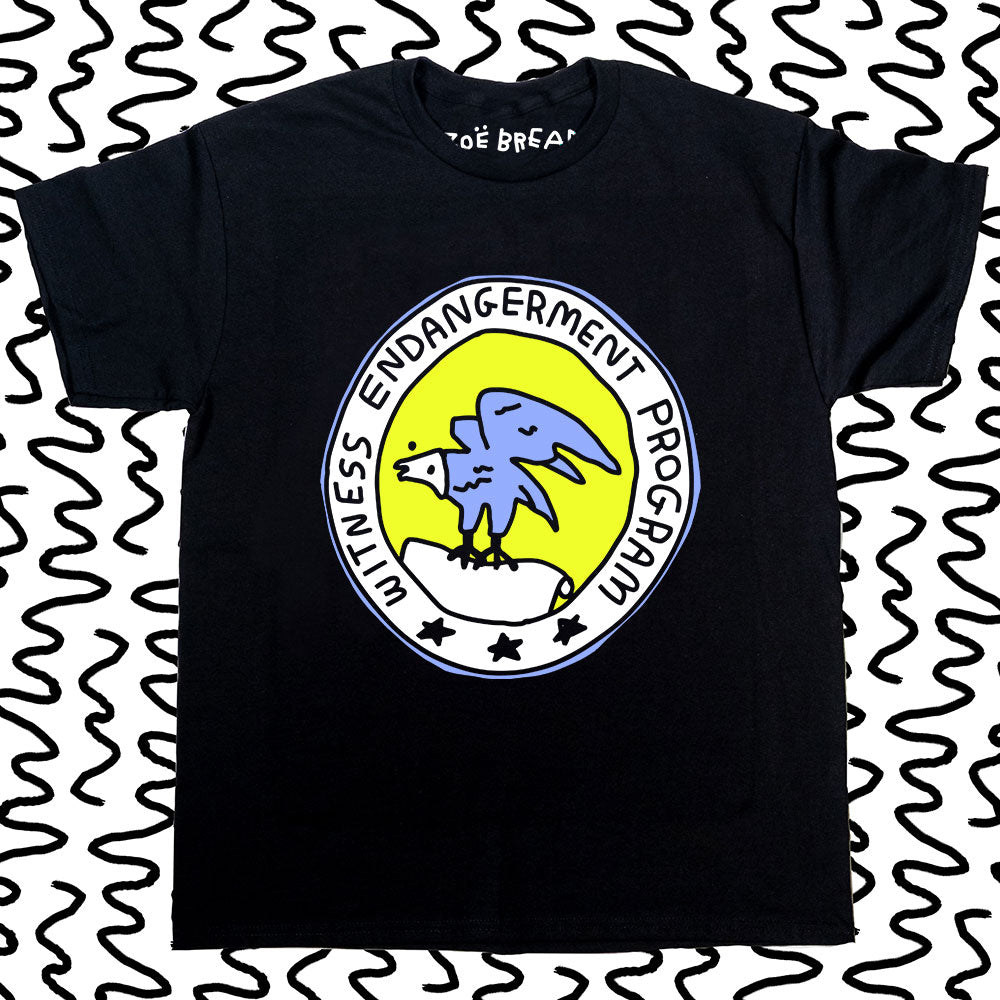 witness endangerment program