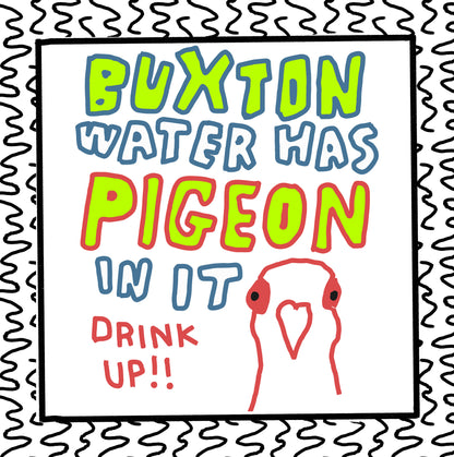 the buxton pigeon