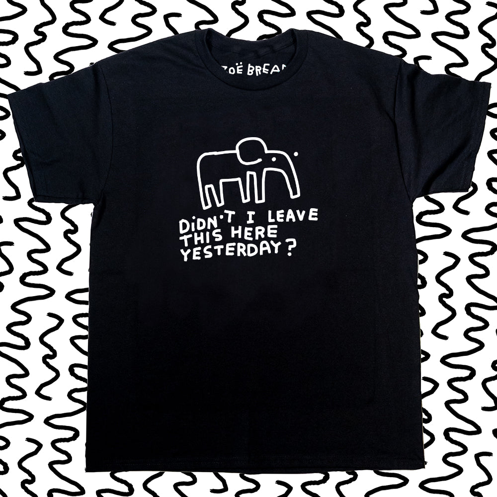 didnt i leave this here yesterday?