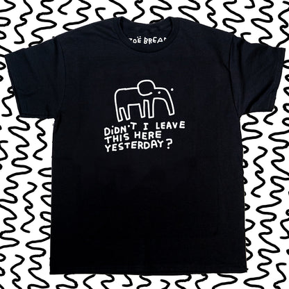 didnt i leave this here yesterday?