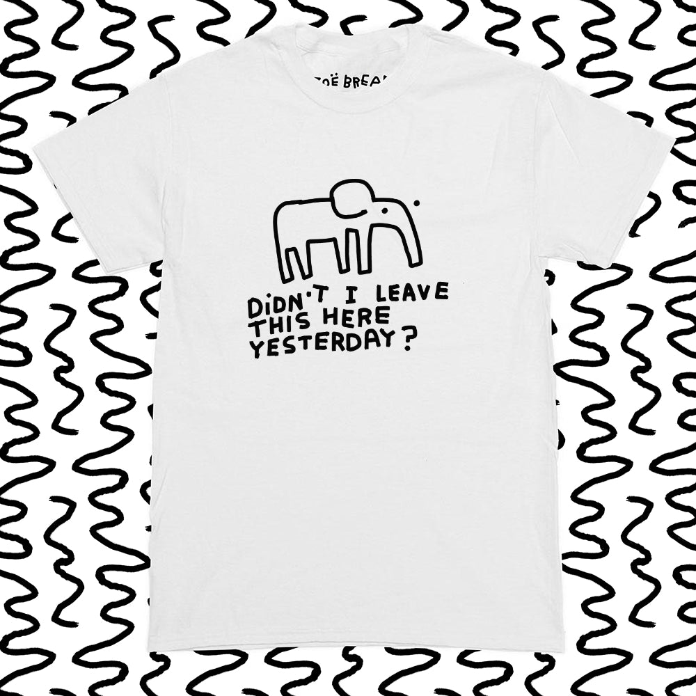 didnt i leave this here yesterday?