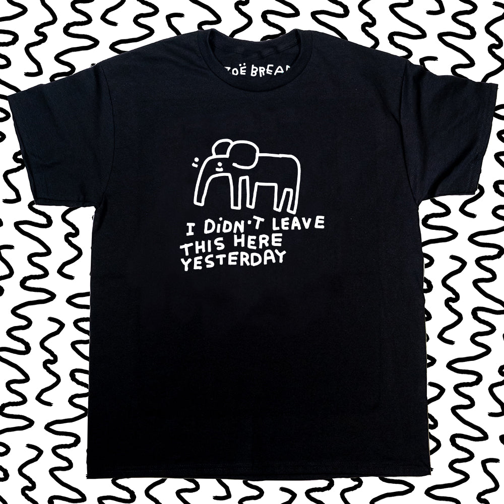 i didnt leave this here yesterday