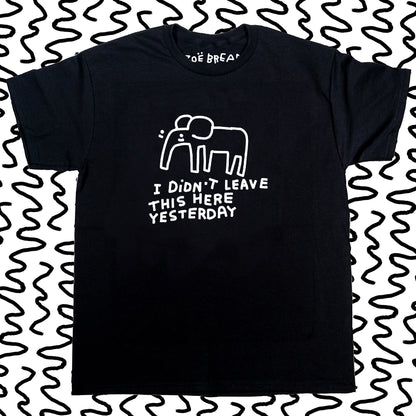 i didnt leave this here yesterday