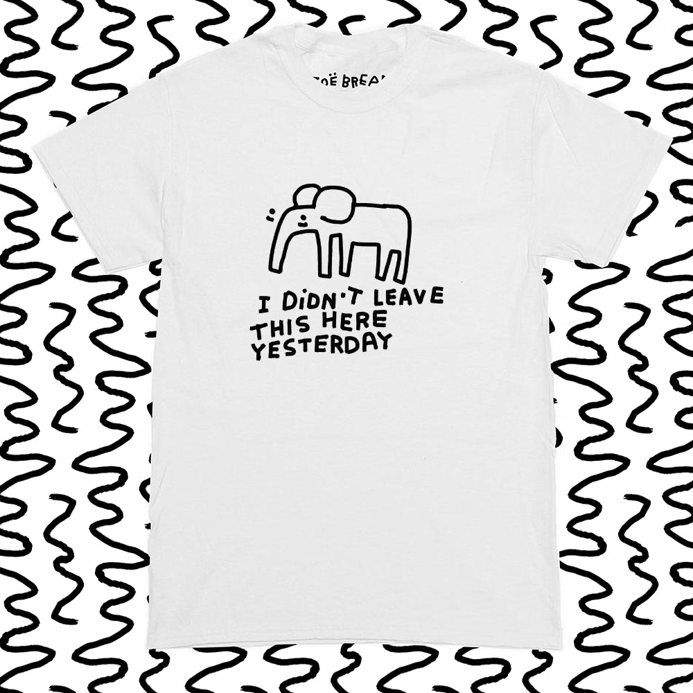 i didnt leave this here yesterday