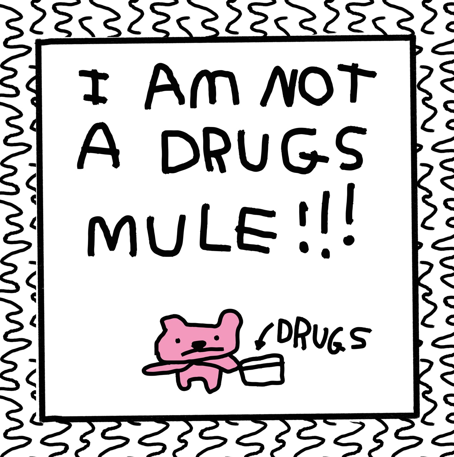 i am not a drugs mule