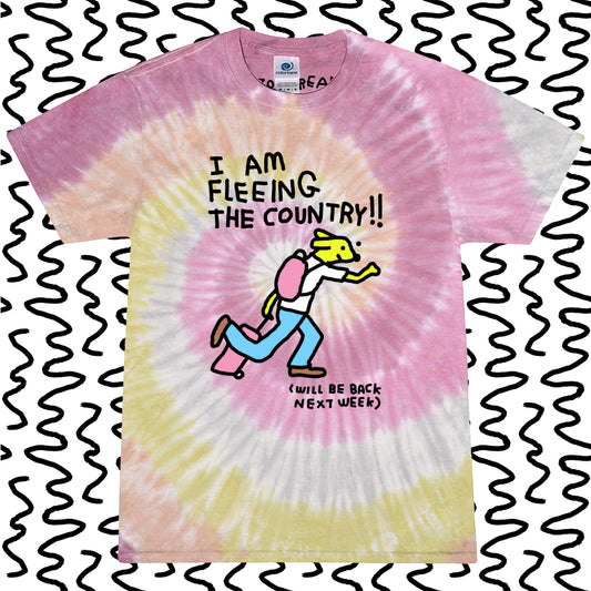 i am fleeing the country