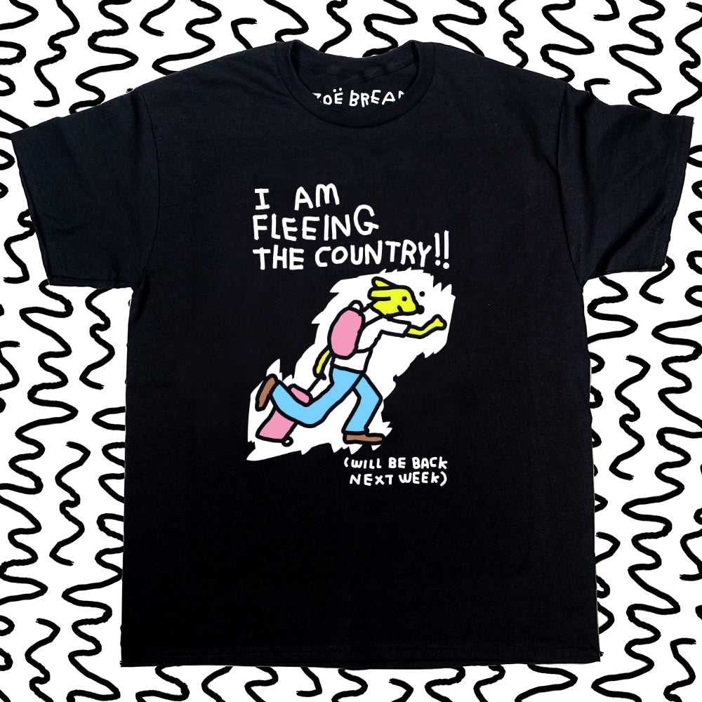 i am fleeing the country