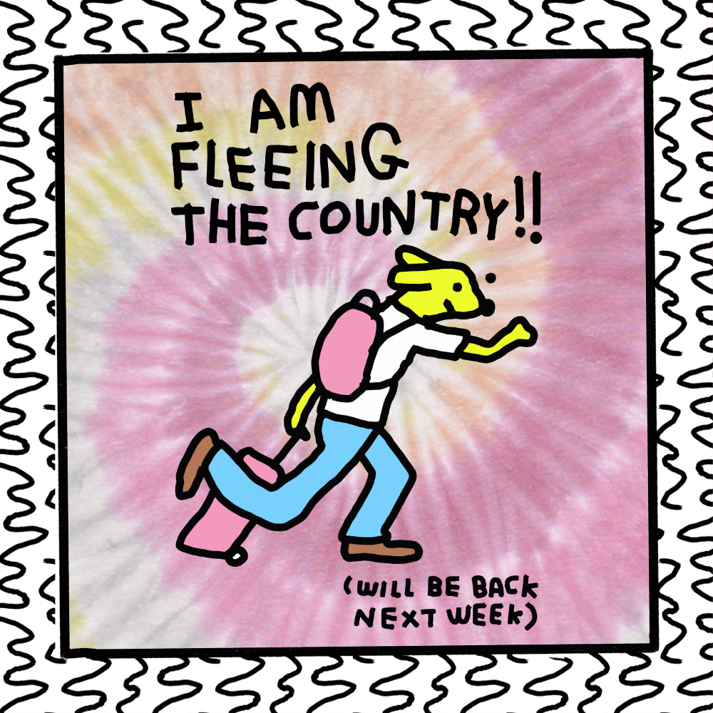 i am fleeing the country