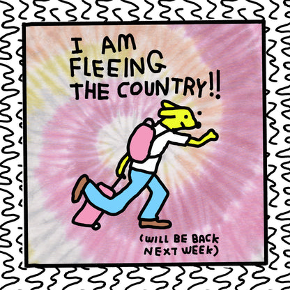 i am fleeing the country