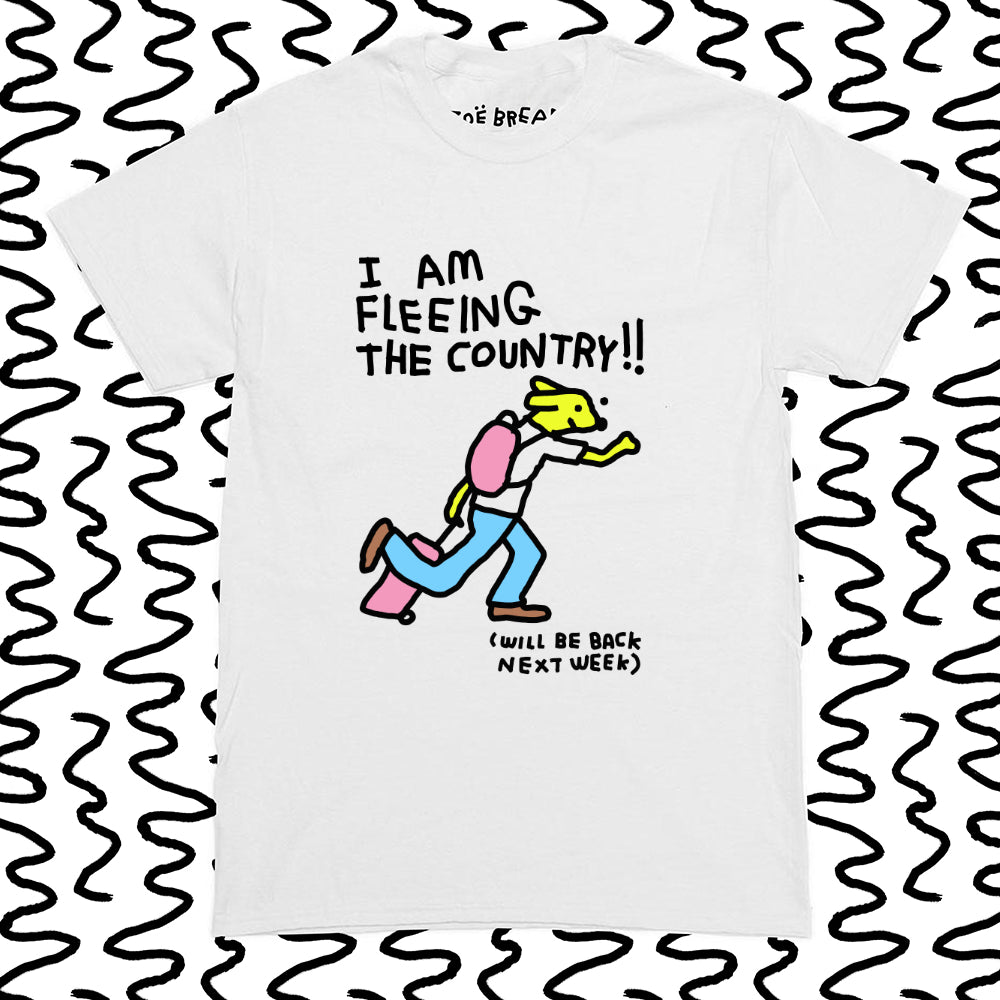 i am fleeing the country