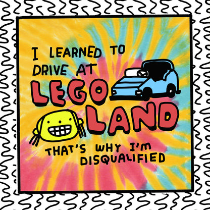 i learned to drive at lego land