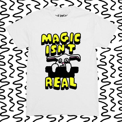 magic isn't real