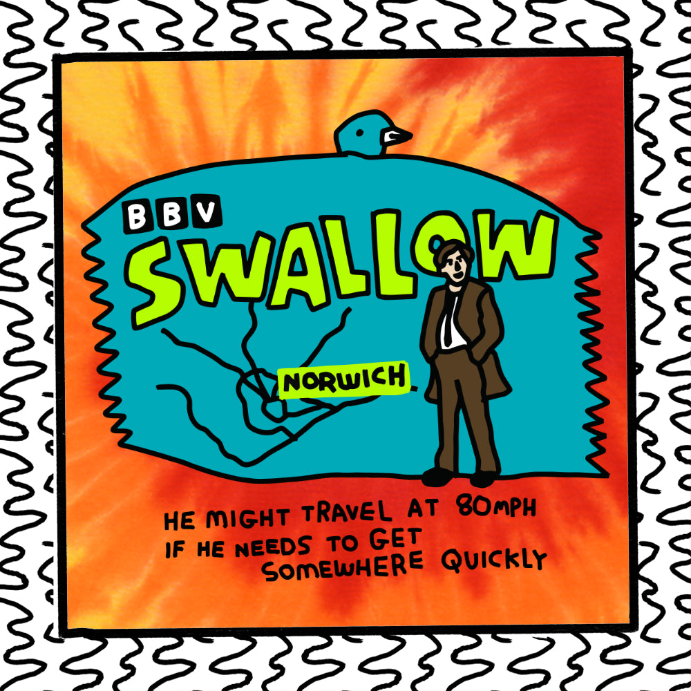 swallow