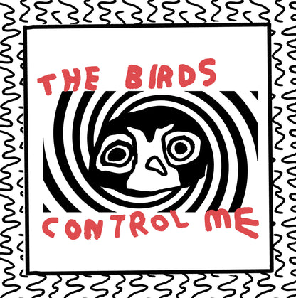 only the birds can control me